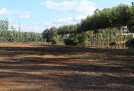 FRACCIONAMIENTO SAN JOSE INDUSTRIAL EN HERNANDARIAS