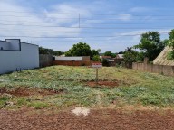 DOS TERRENOS EN SANTA RITA 